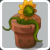 Plante apprivoisée Plante apprivoisée