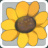 Tournesol Tournesol